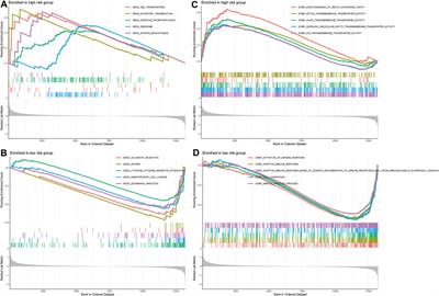 N1-methyladenosine methylation-related metabolic genes signature and subtypes for predicting prognosis and immune microenvironment in osteosarcoma